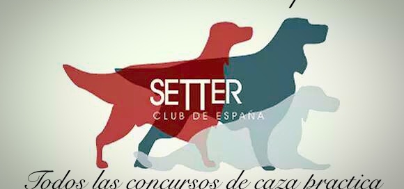 Normas de Selección Para Concursos de Caza Practica 2015 Setter Club España