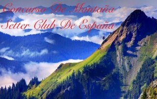 Concurso de caza práctica de montaña en León