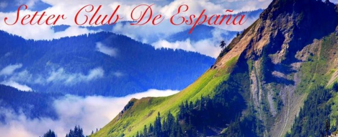 Concurso de caza práctica de montaña en León