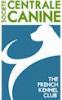 Central Canine