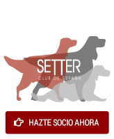 Hazte socio
