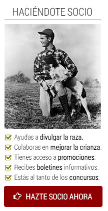 Hazte socio