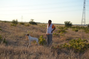 LESTER DE LA PLAZA DE LA MARE