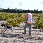 JOTA DE VORA RIU TURIA