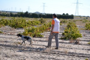 JOTA DE VORA RIU TURIA