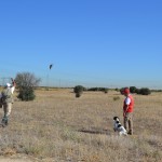 BUCK DEL CASTILLO DE ALMANSA