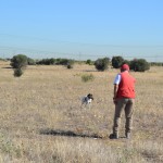 BUCK DEL CASTILLO DE ALMANSA