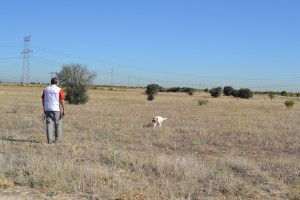 FIL DE VORA RIU TURIA