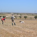 BUCK DEL CASTILLO DE ALMANSA