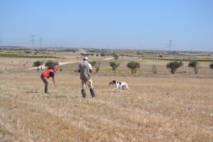 BUCK DEL CASTILLO DE ALMANSA