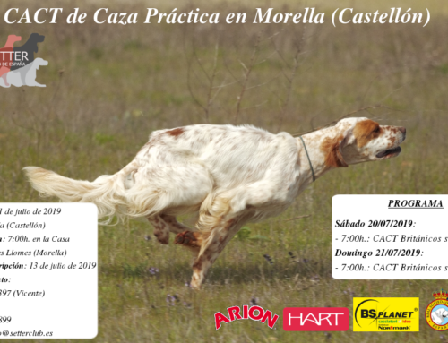CACT Caza Práctica Castellón 2019