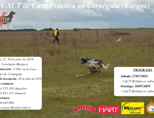 CACT Caza Práctica Cernégula (Burgos)