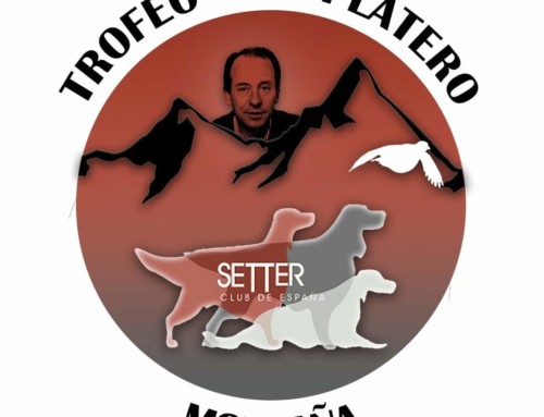 Concursos de caza práctica de montaña en Sanabria (Zamora)