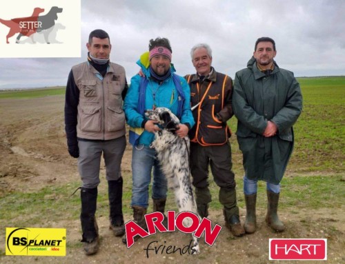 Fotos de los concursos de GB y BC de invierno (Toledo) 2019