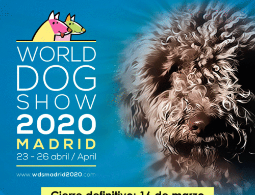 World Dog Show 2020 – Madrid