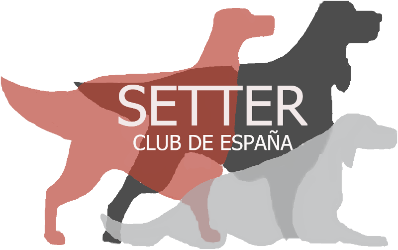 Logo Setter Club