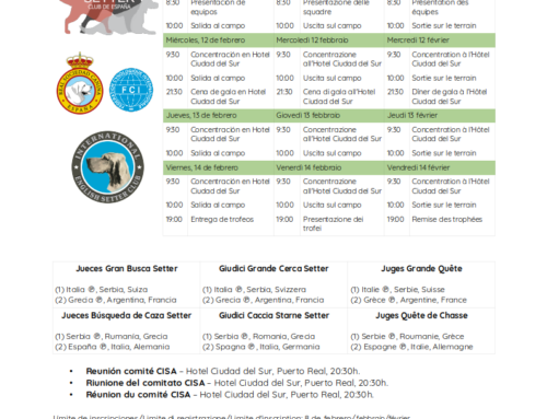 Resultados del Campeonato Europeo Setter Inglés de Gran Búsqueda 2025