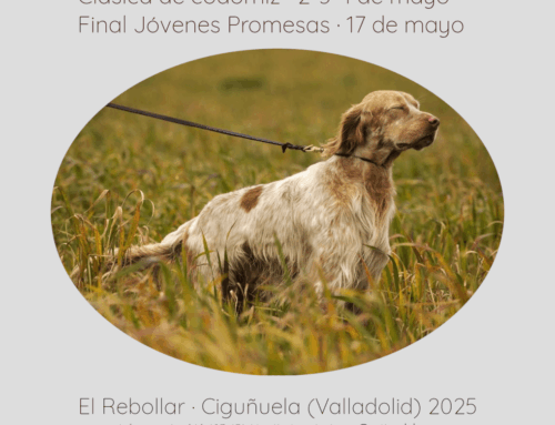 Clásica de codorniz y Final Jóvenes Promesas 2025
