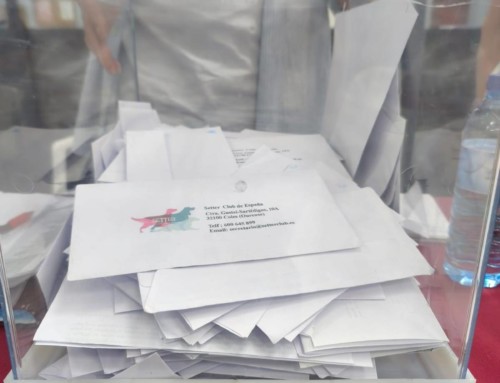Elecciones 2025